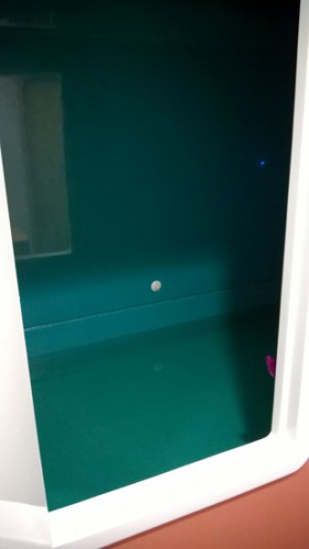 Float Seattle flotation tank inside