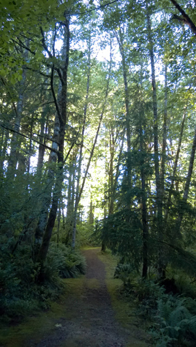 Cloud Mountain Retreat forest hiking walking trails Buddhist silent meditation retreat