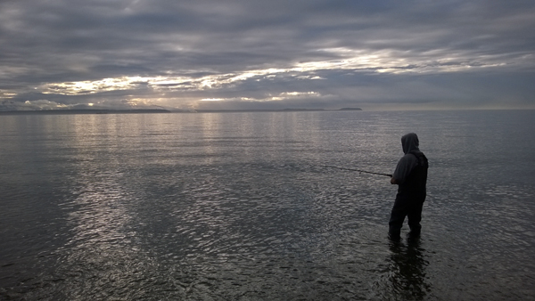 Salmon fishing from shore of Admiralty Bay Coupeville