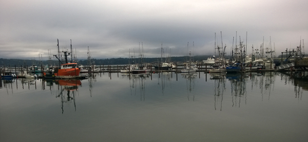 Newport Oregon fishing boats marina