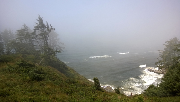 Bell's View Trail viewpoint in Cape Disappointment State Park
