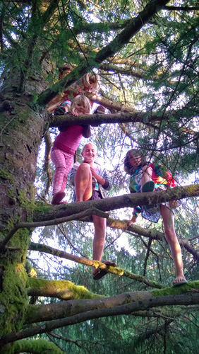 Kids climbing tree at Cape Disappointment State Park campground