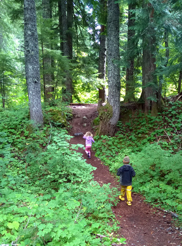 Kids running up Wonderland Trail to Maple Creek Camp in Mount Rainier National Park