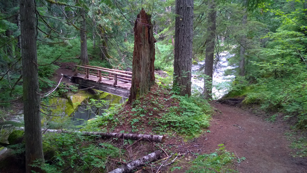 Stevens Creek Trail bridge over gorge in Mount Rainier National Park
