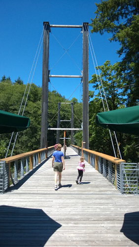 Tillamook Forest Center suspension bridge Tillamook State Forest