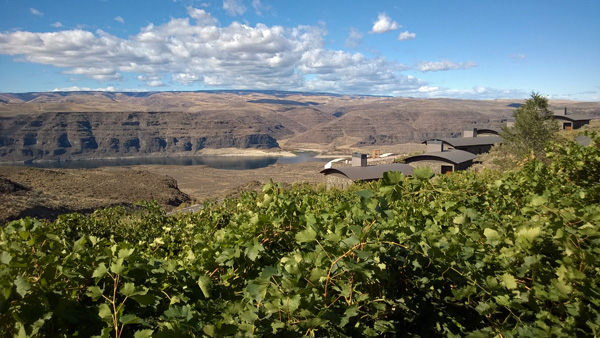 Cave B Estate Winery and Resort Cliffehouses cabins overlooking Columbia River Gorge