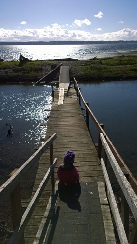 Footbridge by Carlson Cove in Andrew Anderson Marine Park on Anderson Island
