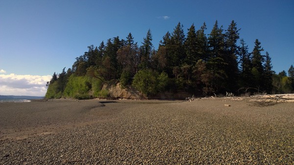 Puget Sound beach by Carlson Cove in Andrew Anderson Marine Park on Anderson Island