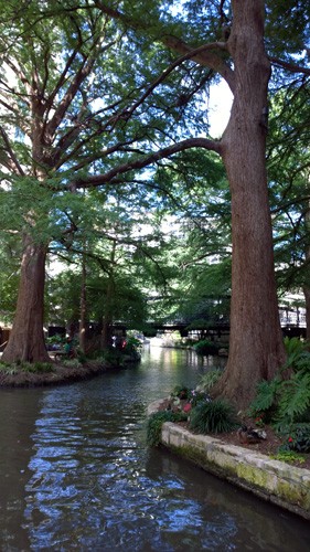 San Antonio Texas River Walk trees flowers bridge