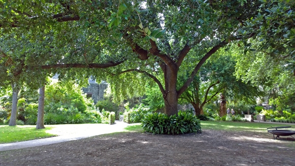 The Alamo gardens trees walking paths San Antonio Texas