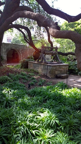 The Alamo well gardens tree San Antonio Texas
