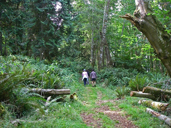 Blake Island State Park Red Trail Through Forest