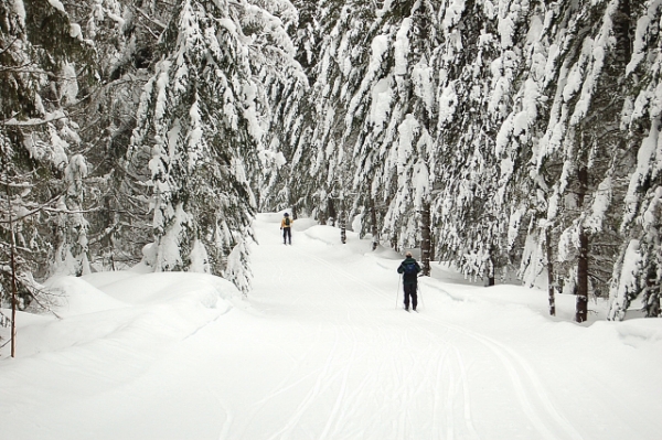 Karen And Josh Cross-country Skiing On Cabin Creek Trails