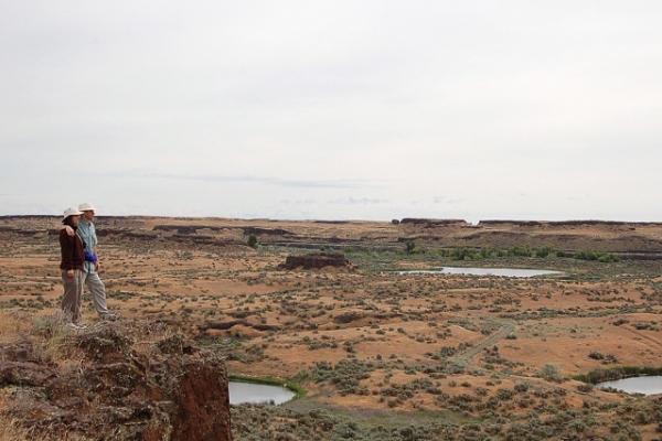 Columbia National Wildlife Refuge Area Frog Lake Trail Overlook