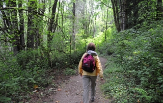 Cougar Mountain Regional Park hiking trail