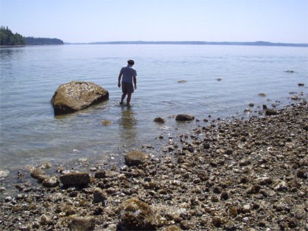 Josh Searching For Critters At Cutts Island State Park / Kopachuck State Park, Near Gig Harbor And Purdy Washington