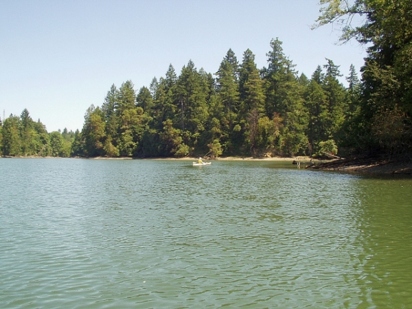 Gull Harbor By Budd Inlet Near Olympia Washington, kayaking