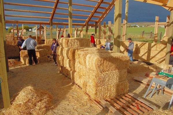 Strawbale Construction Workshop Of Ellensburge Barn, Interior Bales Stacked And Walls Starting To Be Raised