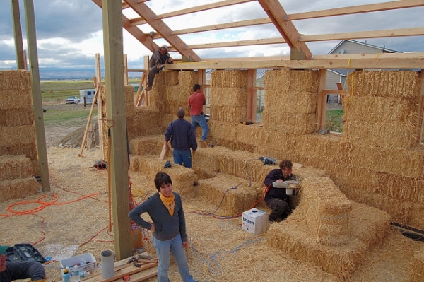 Strawbale Construction Workshop Of Ellensburge Barn, Interior Walls And Top Plate In Place