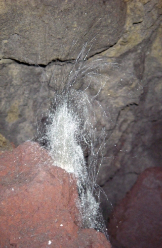 Hawaii Old Mamalahoa Highway Lava Tube Cave Growth