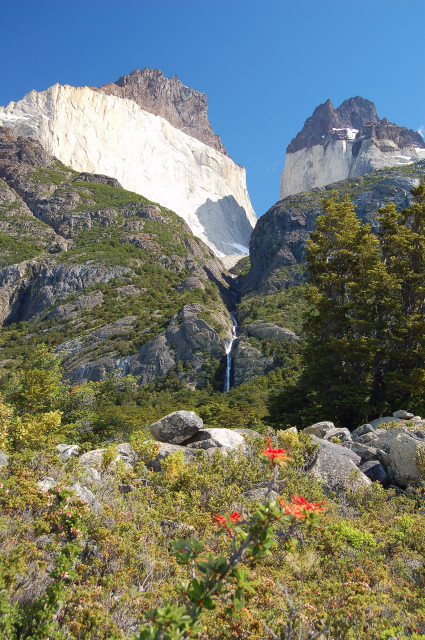 Los Cuernos Waterfall And Ciruelillo Flowers In Parque Nacional Torres Del Paine / National Park, Chile
