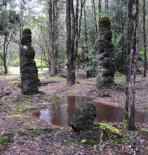 Lava Tree State Park Tree Molds Near Pahoa Town Hawaii