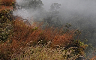 Steaming Bluffs Akanikolea Near Crater Rim Drive In Hawaii Volcanoes National Park