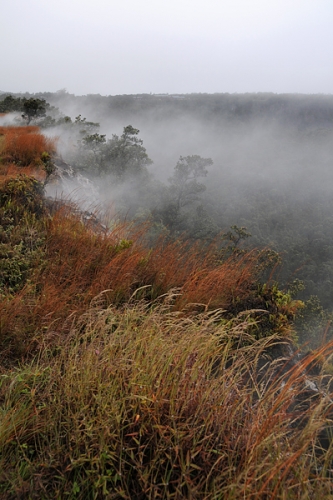 Steaming Bluffs Akanikolea Near Crater Rim Drive In Hawaii Volcanoes National Park