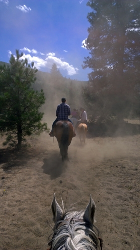 Leavenworth horseback riding on trails