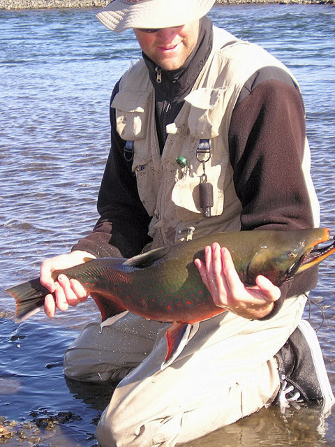 Brian With Arctic Charr Fishing On Alaska's Kugururok River In Noatak National Preserve