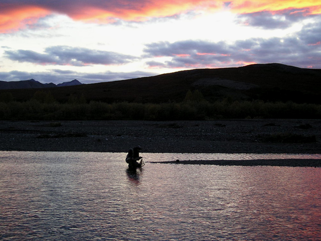 Brian Fishing On Alaska's Kugururok River In The Noatak National Preserve At sunset