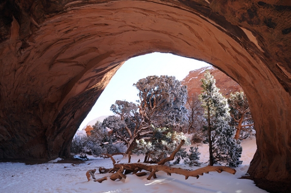 Navajo Arch In Arches National Park Utah With Snow And Trees