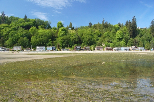 Beach Homes And Cabins Along Bells Beach Of Langley On Whidbey Island