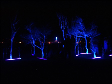 Glowing Trees At Burning Man