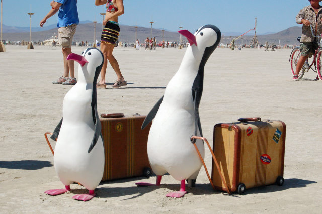 Burning Man Penguins With Suitcases Luggage, Sculpture On Playa With Polar Bear