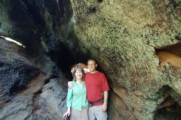 Calaveras Big Trees State Park Inside Fallen Tree