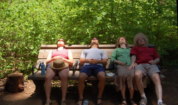 Calaveras Big Trees State Park Reclining Bench