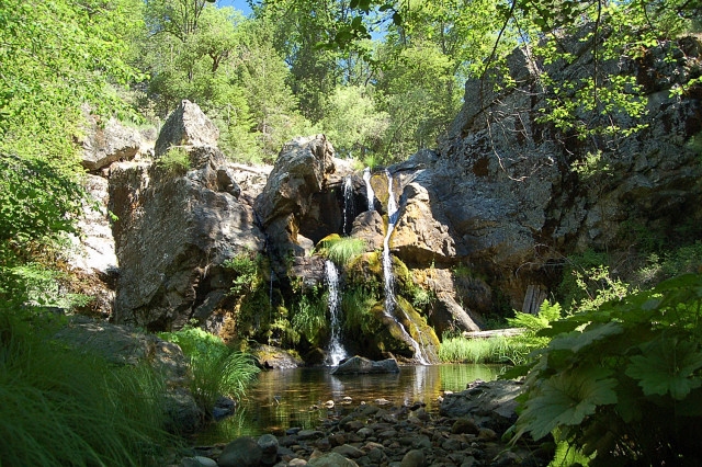 Calaveras County California Waterfall Pool Plants