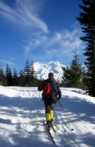 Scott Cross-Country Skiing On Trails To Mt Rainier