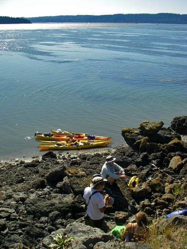 Dead Man's Island By La Conner In Skagit Bay Resting And Eating By Sea Kayaks