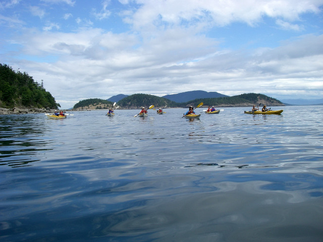 Sea Kayaking Group On Puget Sound Heading Around Decatur Island