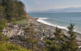 Fort Ebey State Park In Coupeville Of Whidbey Island, Beach Bluffs And Driftwood Piles Looking Over Puget Sound To The Olympic Mountains