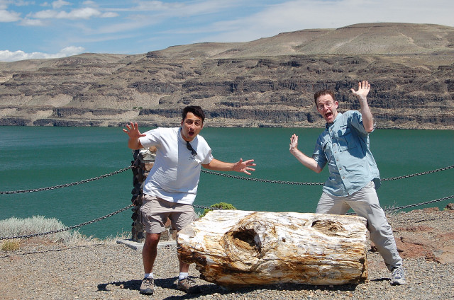 Gingko Petrified Forest Corny Picture