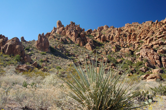Grapevine Hills In Big Bend National Park, Texas