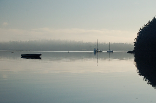 Hope Island State Park Looking Northeast Across Fog And Sailboats To Tosi Point In La Conner