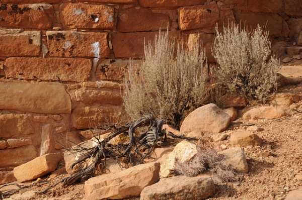 Hovenweep National Monument Park Square Tower Group Ancestral Puebloan Anasazi Ruins Sagebrush By Hovenweep Castle