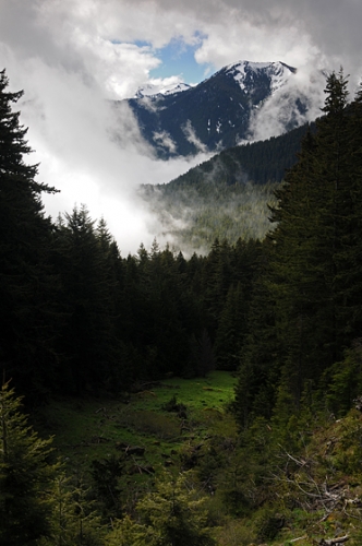 Hurricane Road To Hurricane Ridge Viewpoint To Mountains Clouds Meadow Trees In Olympic National Park Peninsula