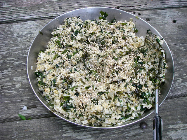 Rice Dish With Seaweed On James Island State Park, San Juan Islands