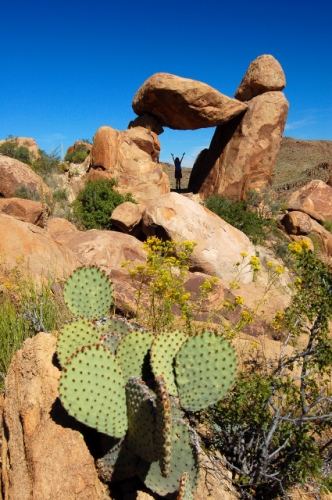 Balanced Rock Of Grapevine Hills In Big Bend National Park, Texas