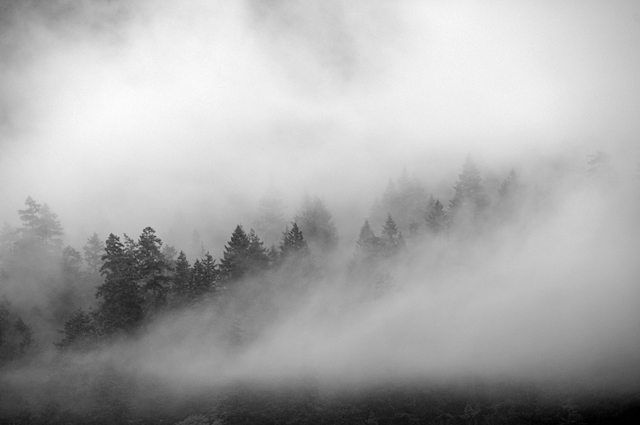 Lake Crescent Olympic National Park Olympic Peninsula Foggy Cloud-Shrouded Trees